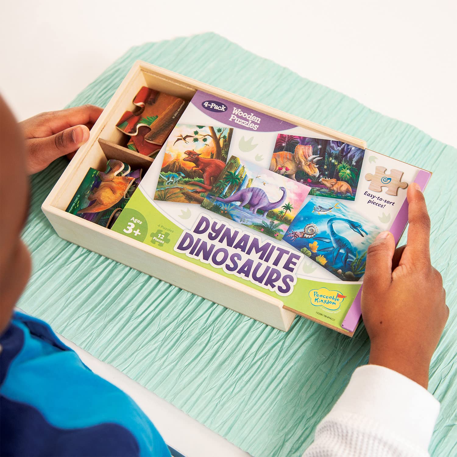 Amazon.com: Peaceable Kingdom 4-Pack Wooden Dinosaur Puzzles in