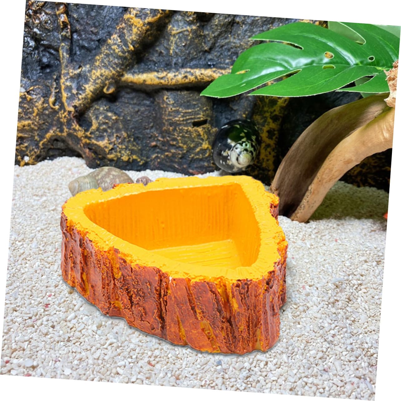 Cuenco de agua para reptiles Cuenco for alimentación de reptiles, 1 pieza Cuenco for comida Comedero for reptiles Cuenco for tortugas Plato for alimentación de reptiles Cuenco for roca for reptiles Cu