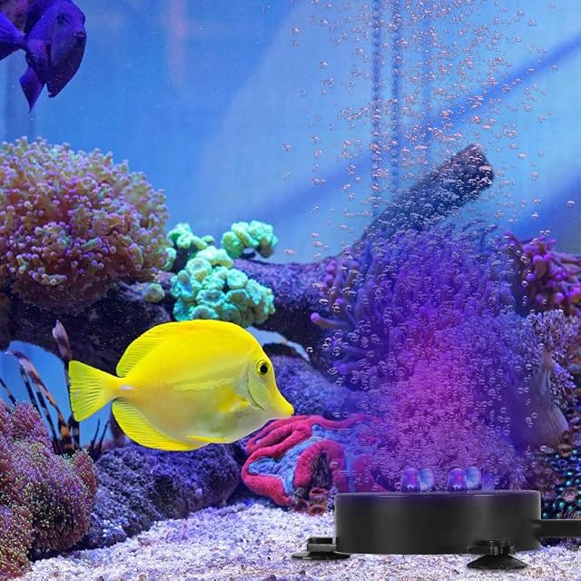 Foto 7 de 7 de Difusor LED para acuario, disco de piedra, resistente al agua IP68, con ventosa