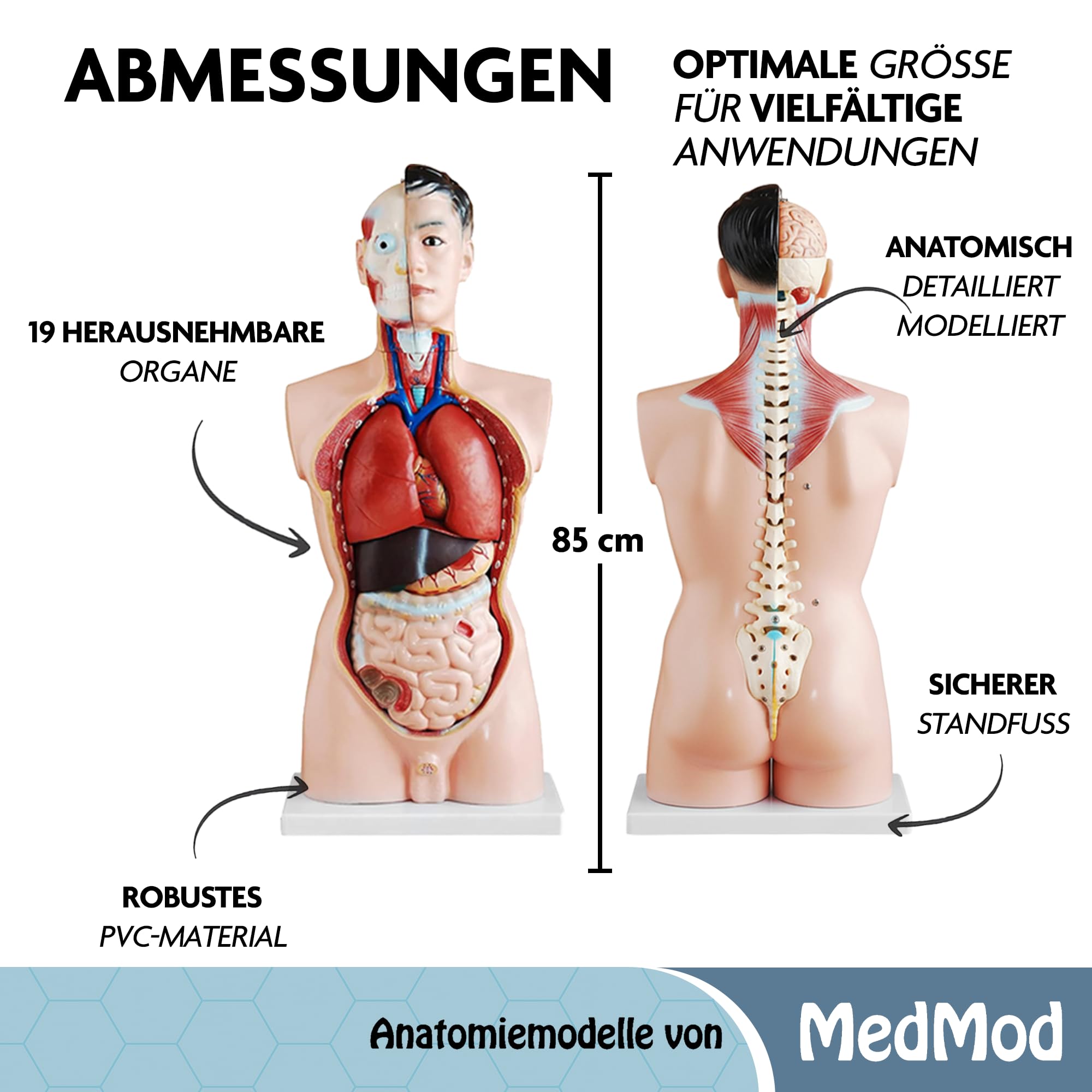 Anatomie Modell Torso 85 cm, Detaillierter menschlicher Körper aus PVC mit entnehmbaren Organen für Schule, Studium und Anatomie-Training, Lehrmodell