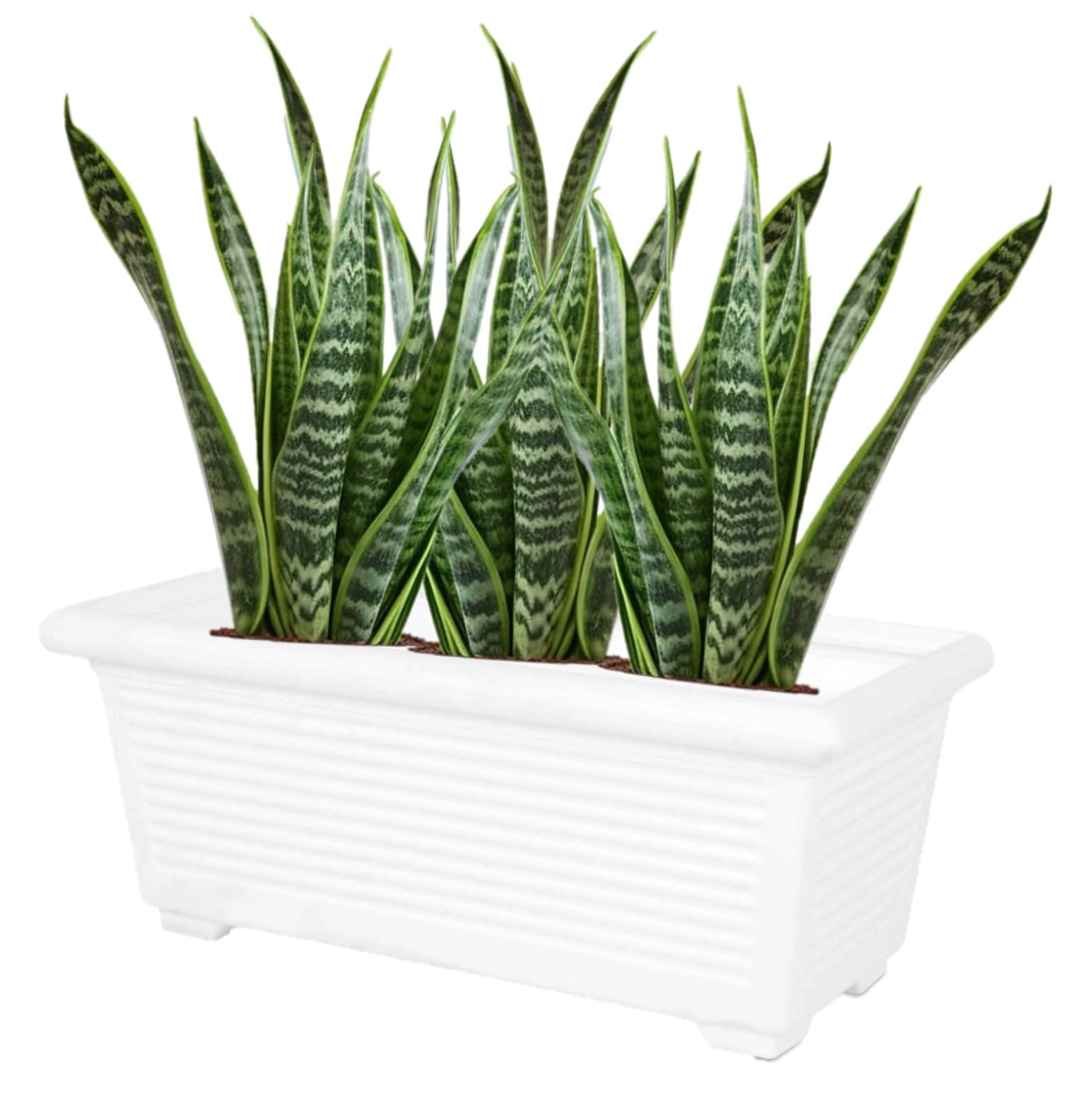 Pot de fleurs rectangulaire blanc pour sublimer votre terrasse de 80 cm