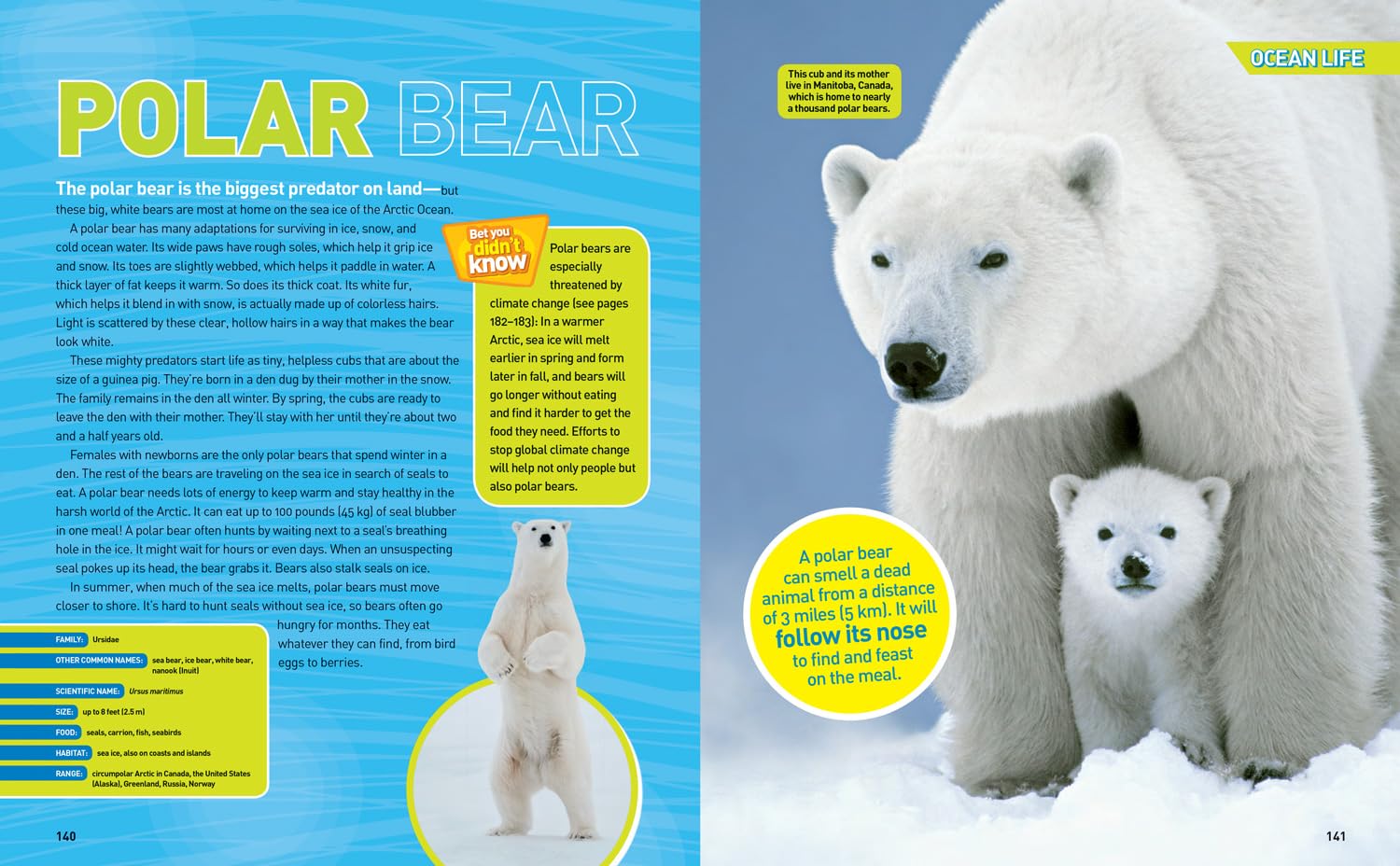 Ultimate Ocean-pedia: The fact-packed ocean encyclopedia (National Geographic Kids)