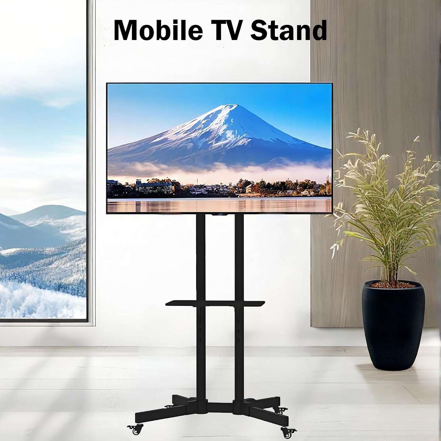 https://m.media-amazon.com/images/I/71C0lElpNjL._AC_SL1500_.jpg