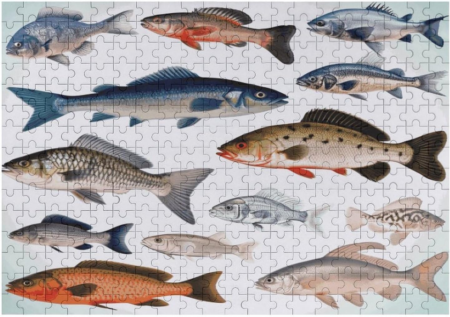 Different Fish 300 Pieces Wooden Puzzles for Adults 15 X 20.5in image 3