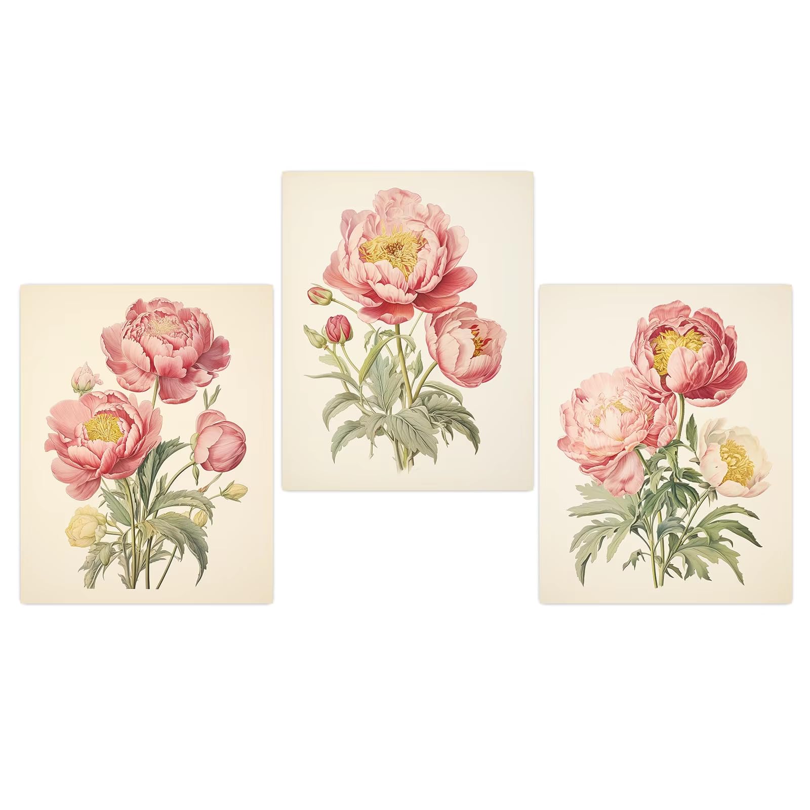 AEFOUU Vintage Wall Art Print, Botanical Peony Canvas Painting, Pink Floral Illustration Poster for Bedroom Living Room Wall Decor(40x50cm/16x20in/Frameless)