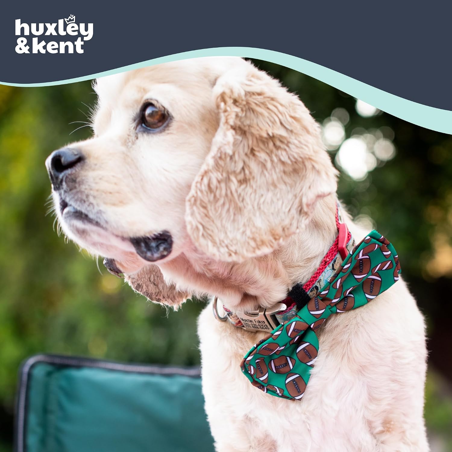 Huxley & Kent Pet Bow Tie for Dogs & Cats, Football, Large/XLarge image 4