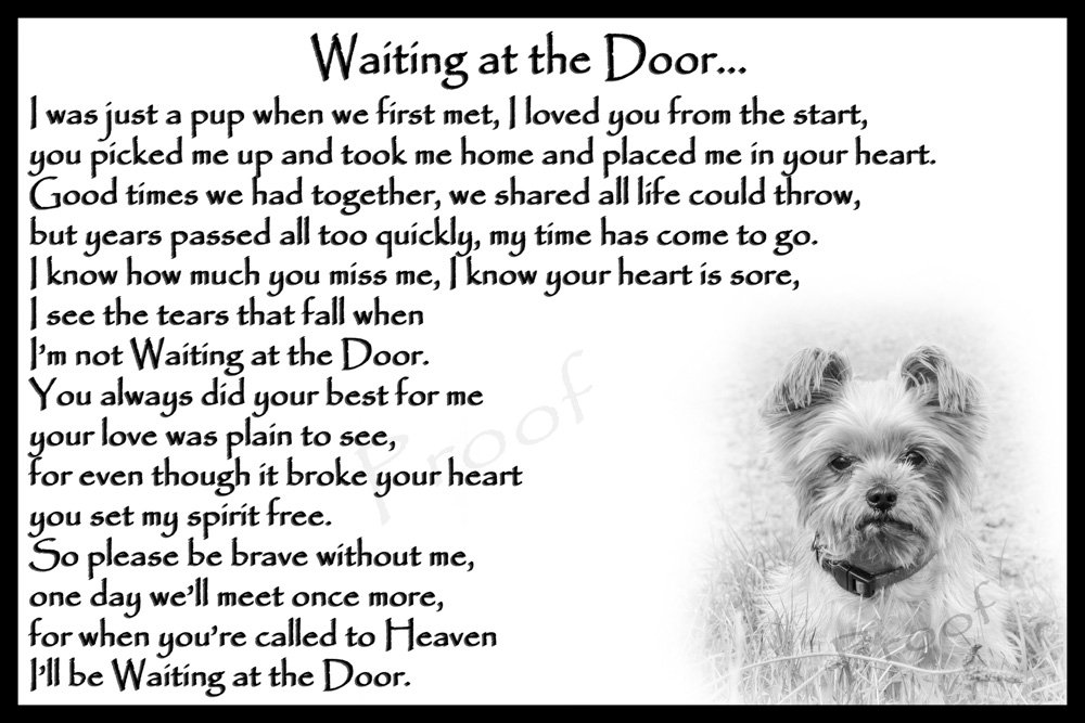 Yorkshire Terrier pet loss memorial sympathy bereavement gift magnetic card - Waiting at the Door