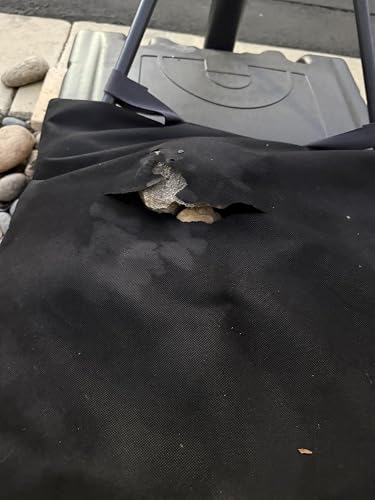 Review Image by Amazon Customer