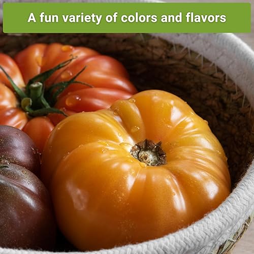 Miniatura 5 de Sow Right Seeds - Colección de semillas de tomate estilo bistec para plantar - Filete de res, Kellogg's, morado Cherokee, levantador de hipotecas