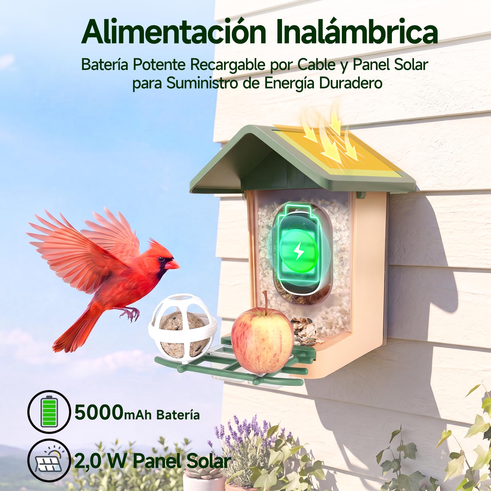 Comedero Inteligente Pájaros, Rollei Smart Bird Feeder 3K Comedero Pajaros | Solar con Cámara Exterior AI Reconocimiento de 10000 Pájaros Impermeable IP65 Visión Nocturna LED Audio Bidireccional