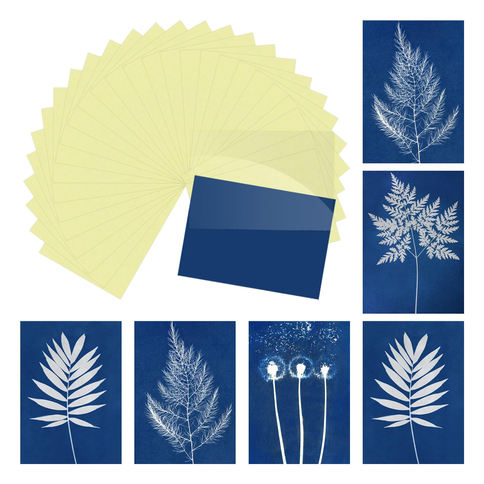 sourcing map Cyanotype Paper,12 Sheet Sun Print Kit High Sensitive Sun Yellow Crafts Paper with Acrylic Board for Adults DIY Project Art,8.5x11.6 Inch (A4) โ image 1