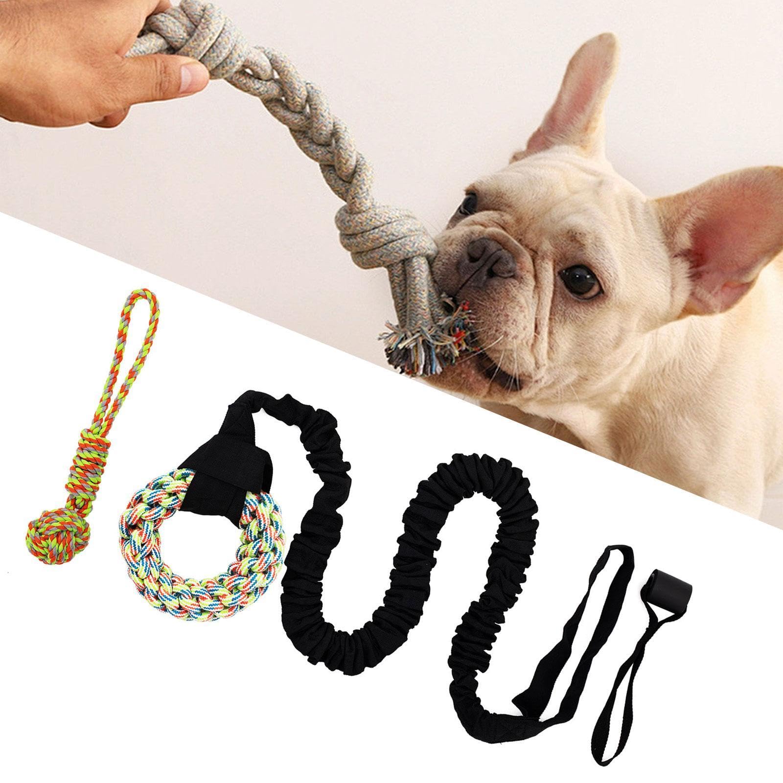 Gralara Bungee Zerrspielzeug für Hunde Im Freien, Leine mit Kauseil, Geeignet für Kleine Und Große Rassen, Bunter Ring