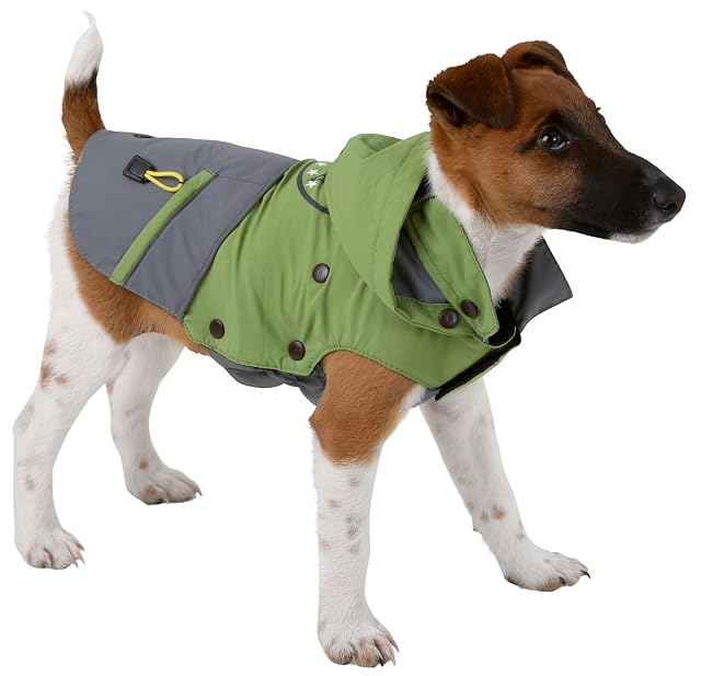 Abrigo de exterior para perros Vancouver, verde/gris, 50 cm