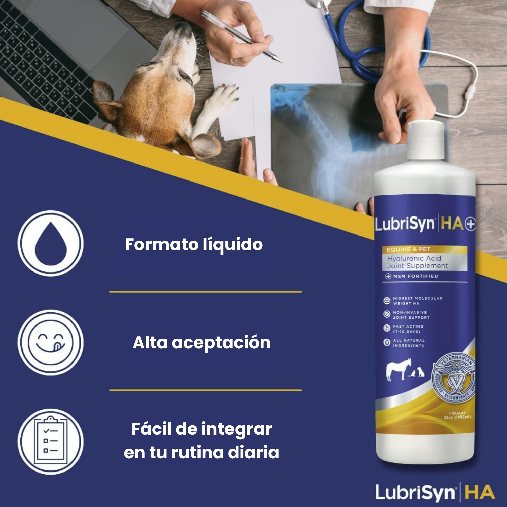 MSM 473ml – Suplemento Articular Líquido para Perros – Ácido Hialurónico Alta Absorción – Movilidad, Flexibilidad y Cuidado del Cartílago – También Apto para Gatos y Caballos | Ácido Hialurónico Alta Absorción, Movilidad y Flexibilidad, Cuidado del Cartíl