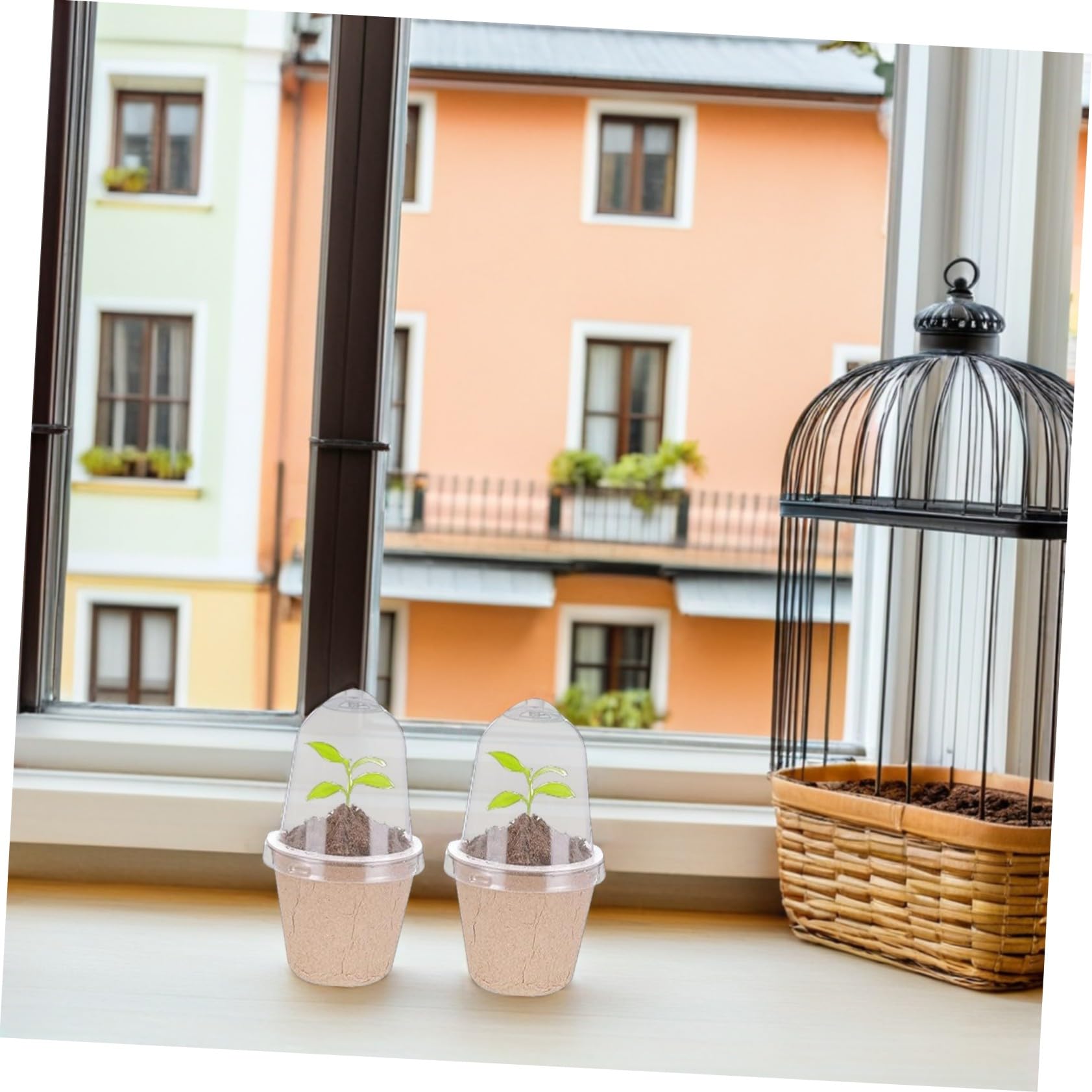 40 Pièces Pots de Culture Ronds de Papier pour Semis Contrôle Humidité Équilibré et Croissance des Racines pour Jardinage Intérieur et Projets Scolaires