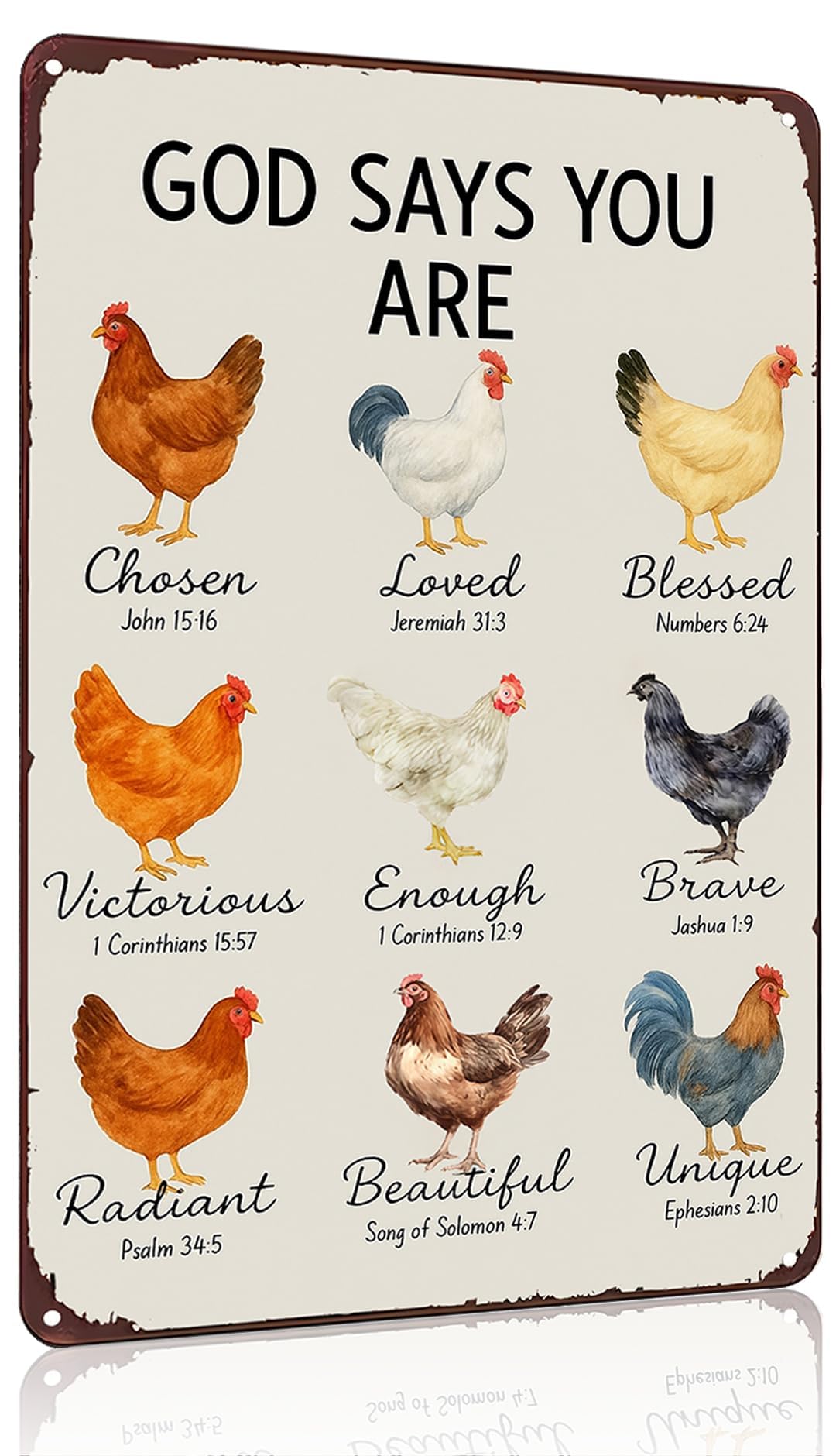 Funnysign Chicken Gifts God Says You Are Amazing Vintage Tin Sign for Chicken Coop Farm Kitchen Garden Yard Decor 8x12 inch (3912)