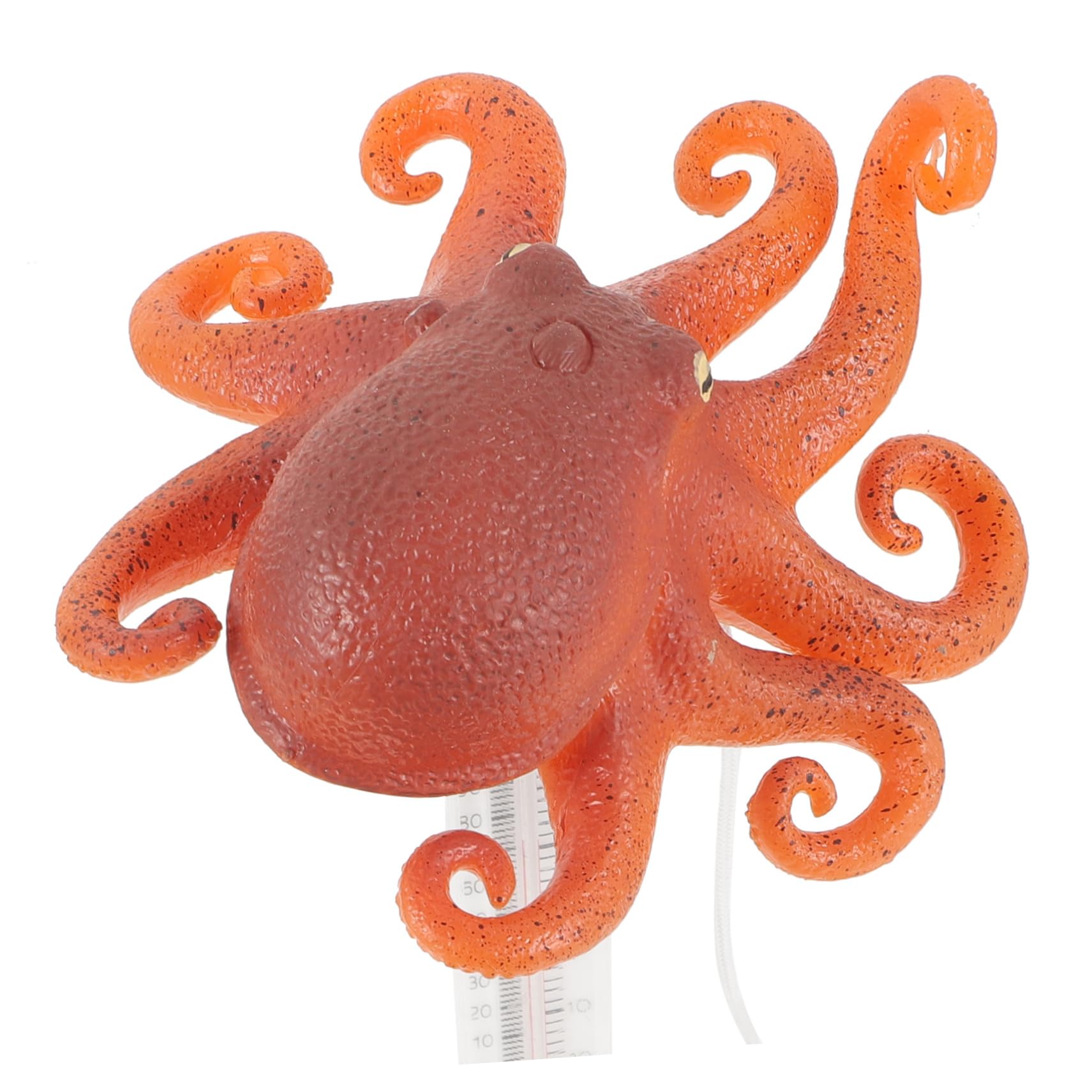 Toddmomy 3 Pezzi termometro ad acqua per immersione fredda misuratore di temperatura termometro digitale per piscina piscine termometro dell'acqua del bagno plastica