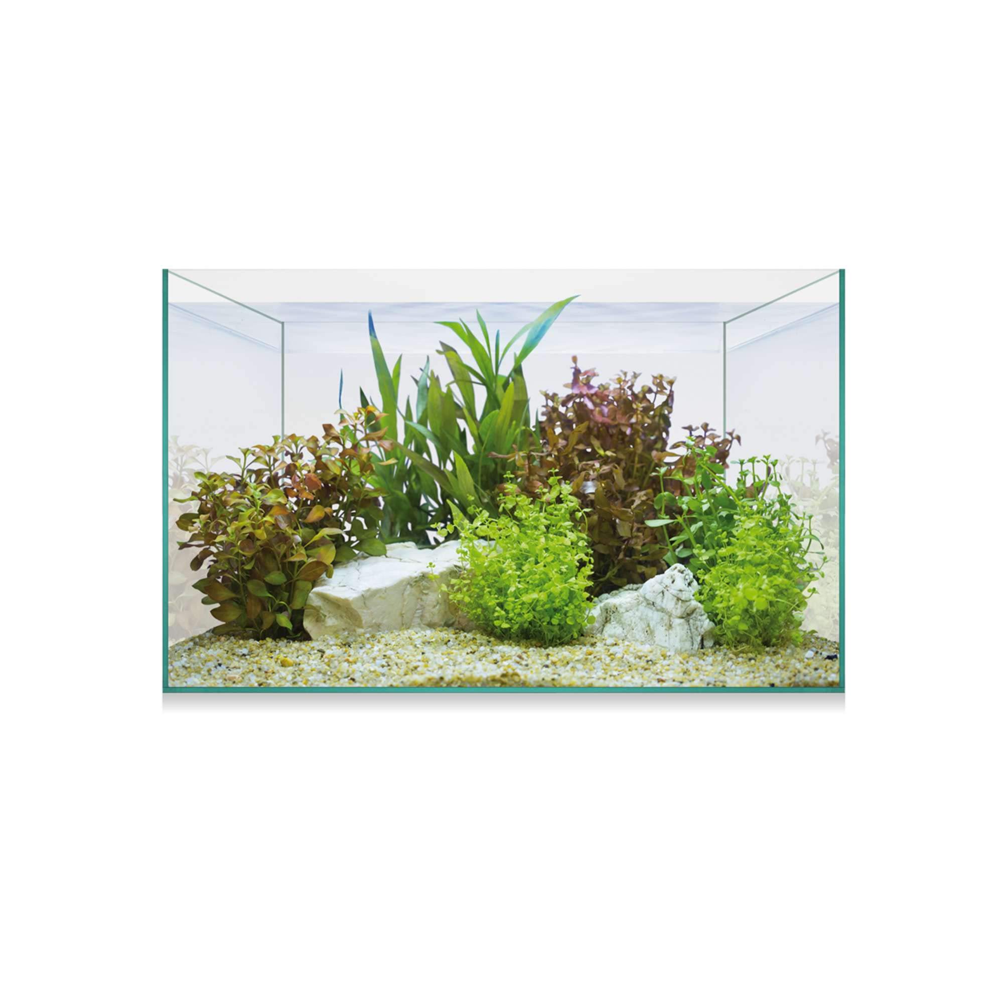 ICA Urna Aquascape Basic 8 6.8 ml