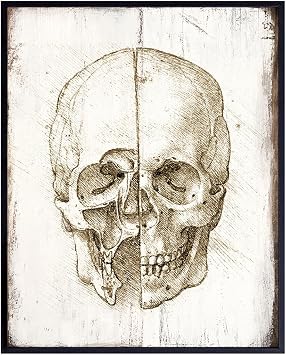 Leonardo Da Vinci Skull Poster -8x10 Anatomical Wall Art Print - Rustic Wall Decor for Medical Clinic, Doctor Office - Renaissance Painting - Gift for Medieval Painting Fans, Nurse, Med Student