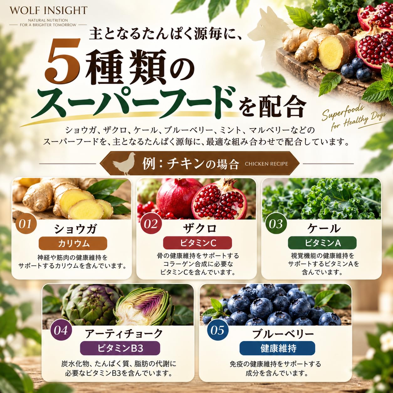 Amazon.co.jp: 【獣医師推奨】ウルフインサイト ドッグフード