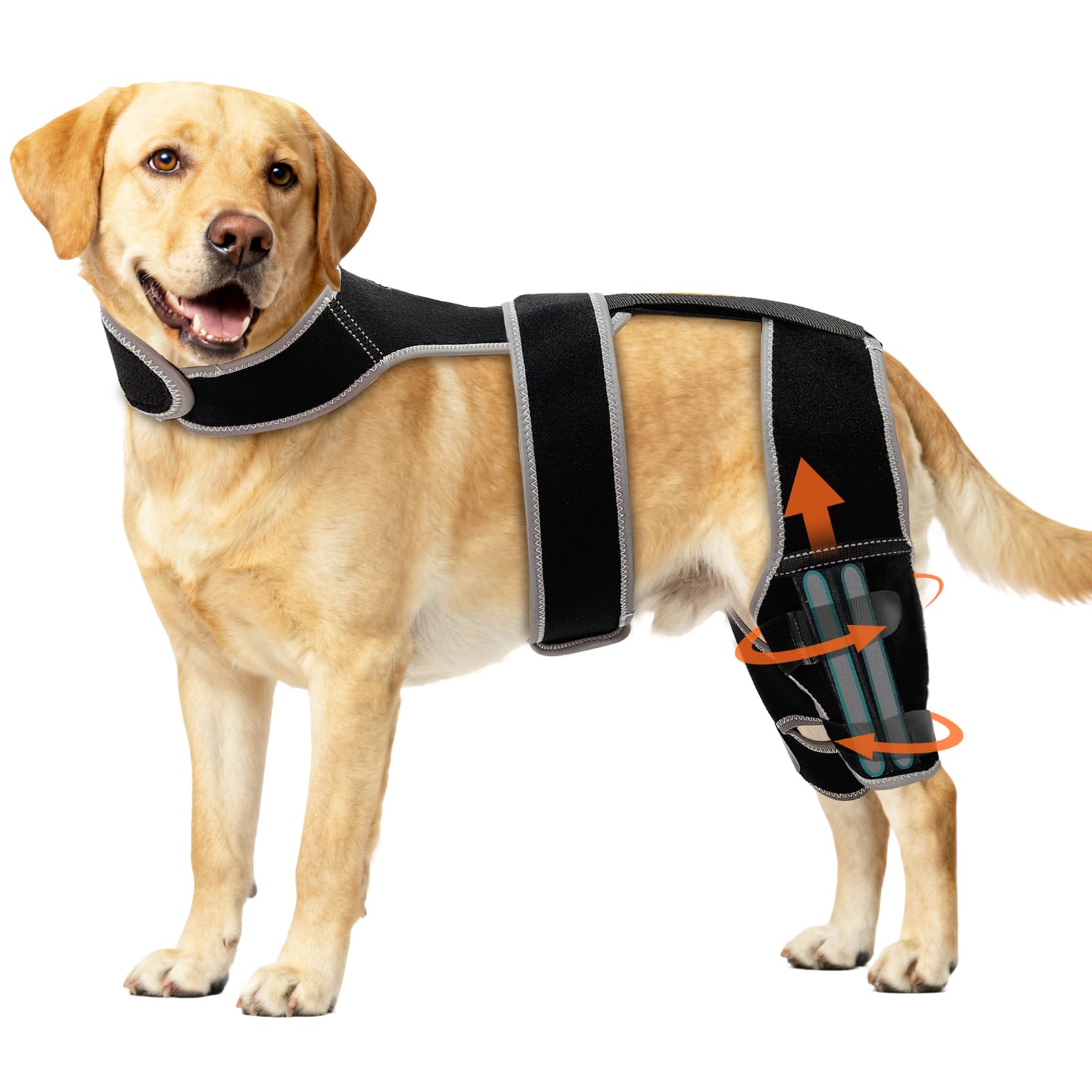 Snagle Paw Adjustable Dog Knee Brace