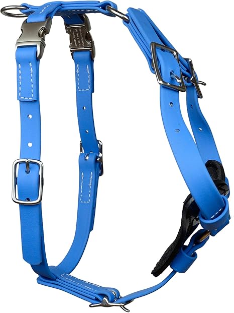 light blue dog harness