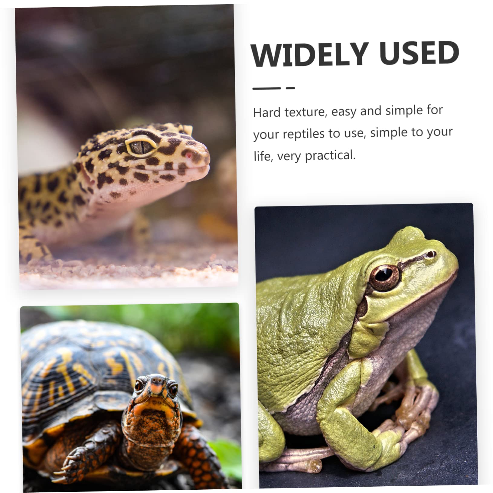 Abaodam Tortoise Basking Platform Lightweight Resin Climbing Habitat for Turtles and Reptiles Durable Aquarium Decor for Frogs and Lizards Design