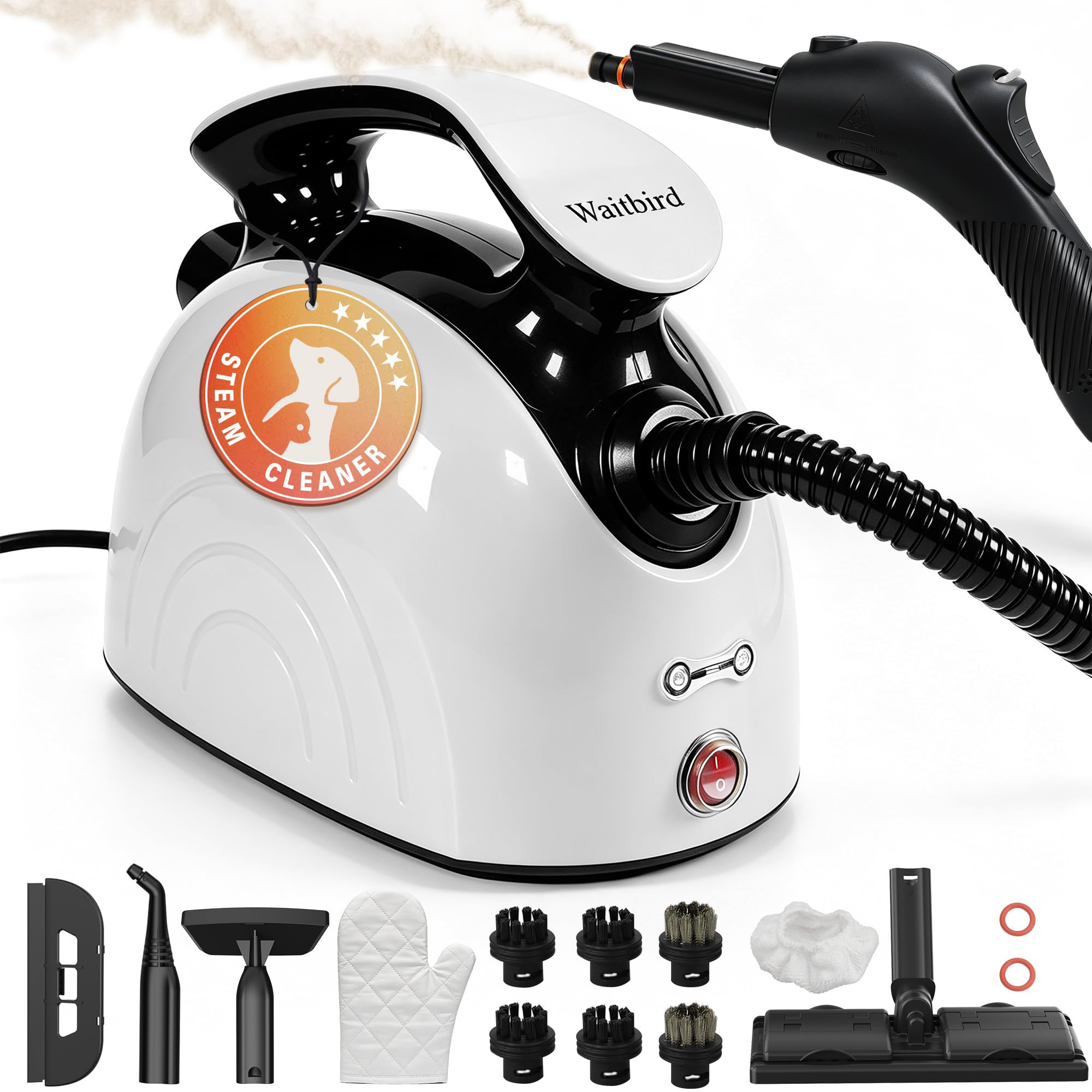 Waitbird Steam Cleaner High Pressure