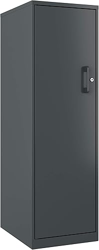 Gabinete personal, 4 estantes, carbón