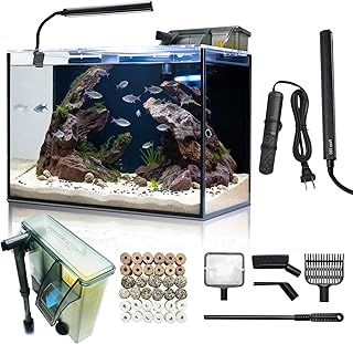 10 Gallon Aquarium Set Glass Fish Tank, Heater Self Cleaning System Filter with Media Bright Light Cleaning Tool, Leak-Proof Clear Rimless Betta Tropical Freshwater Fish