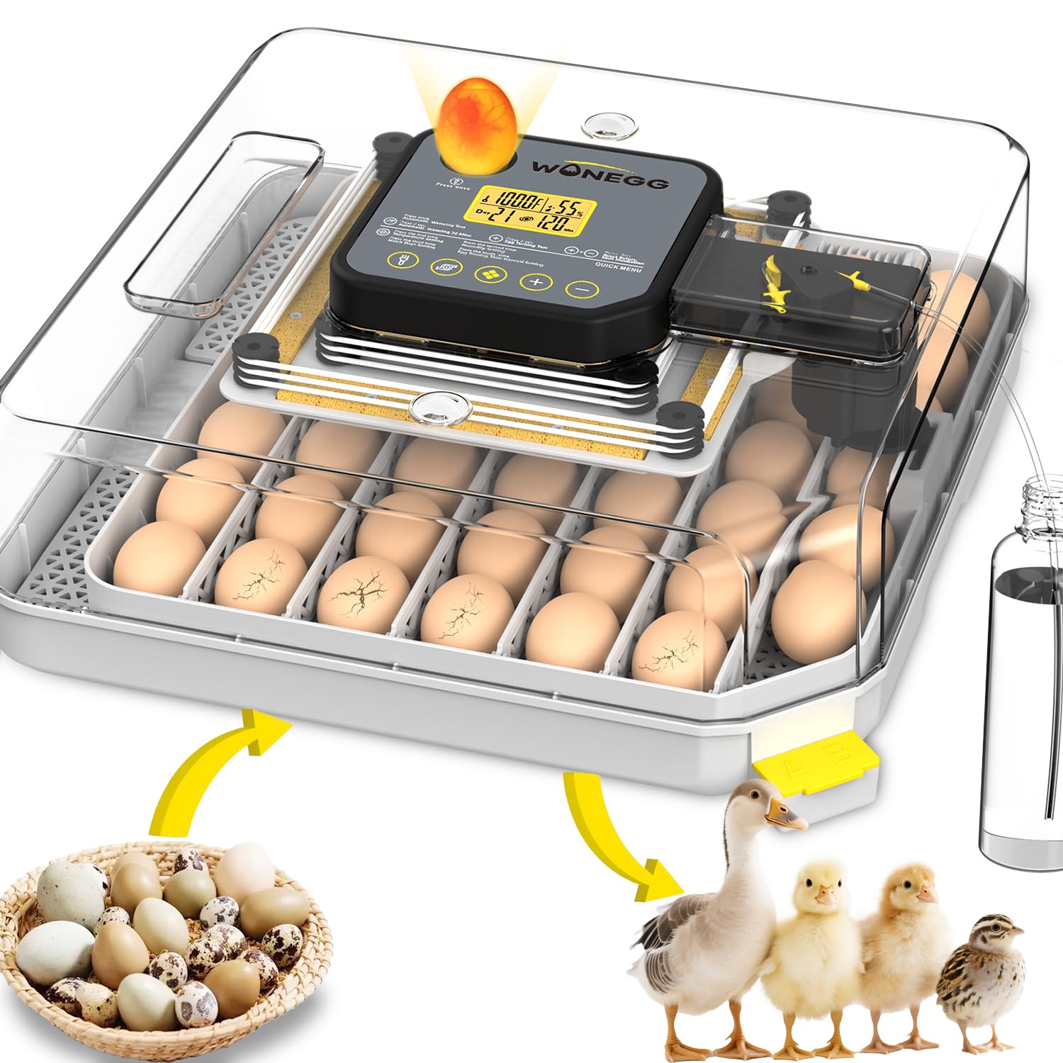 Incubadoras para incubar huevos, incubadora de huevos para laboratorio, granja doméstica con giro automático de huevos para pollo, patos, ganso, codorniz, 48 huevos