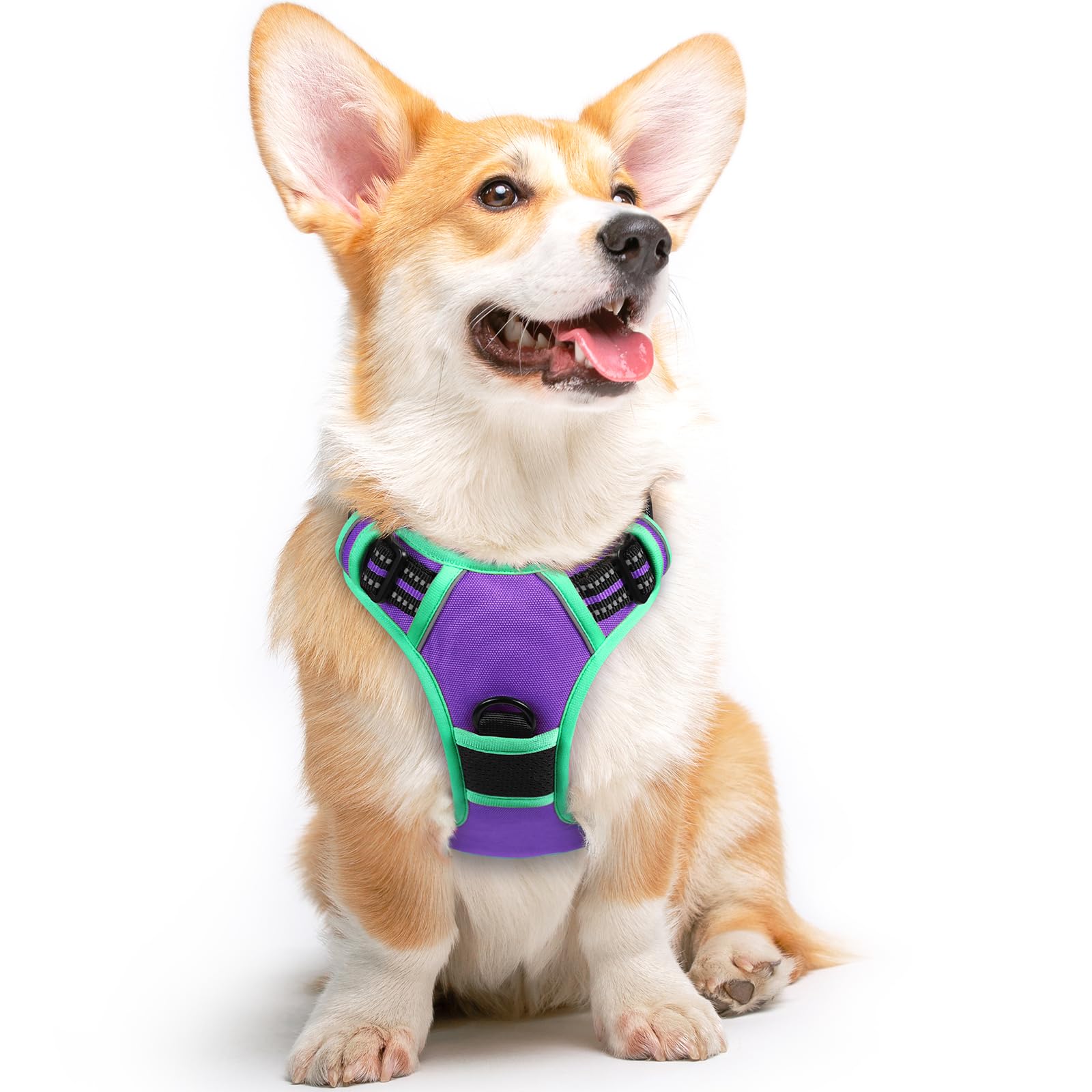 Eagloo Dog Harness for Large Dogs, No Pull Service Vest with Reflective Strips and Control Handle, Adjustable and Comfortable for Easy Walking, No Choke Harness with 2 Metal Rings, Purple & Green, M