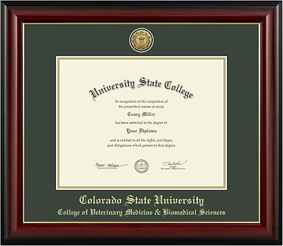 Colorado State Medical Gold Medallion Diploma Frame, Lancaster