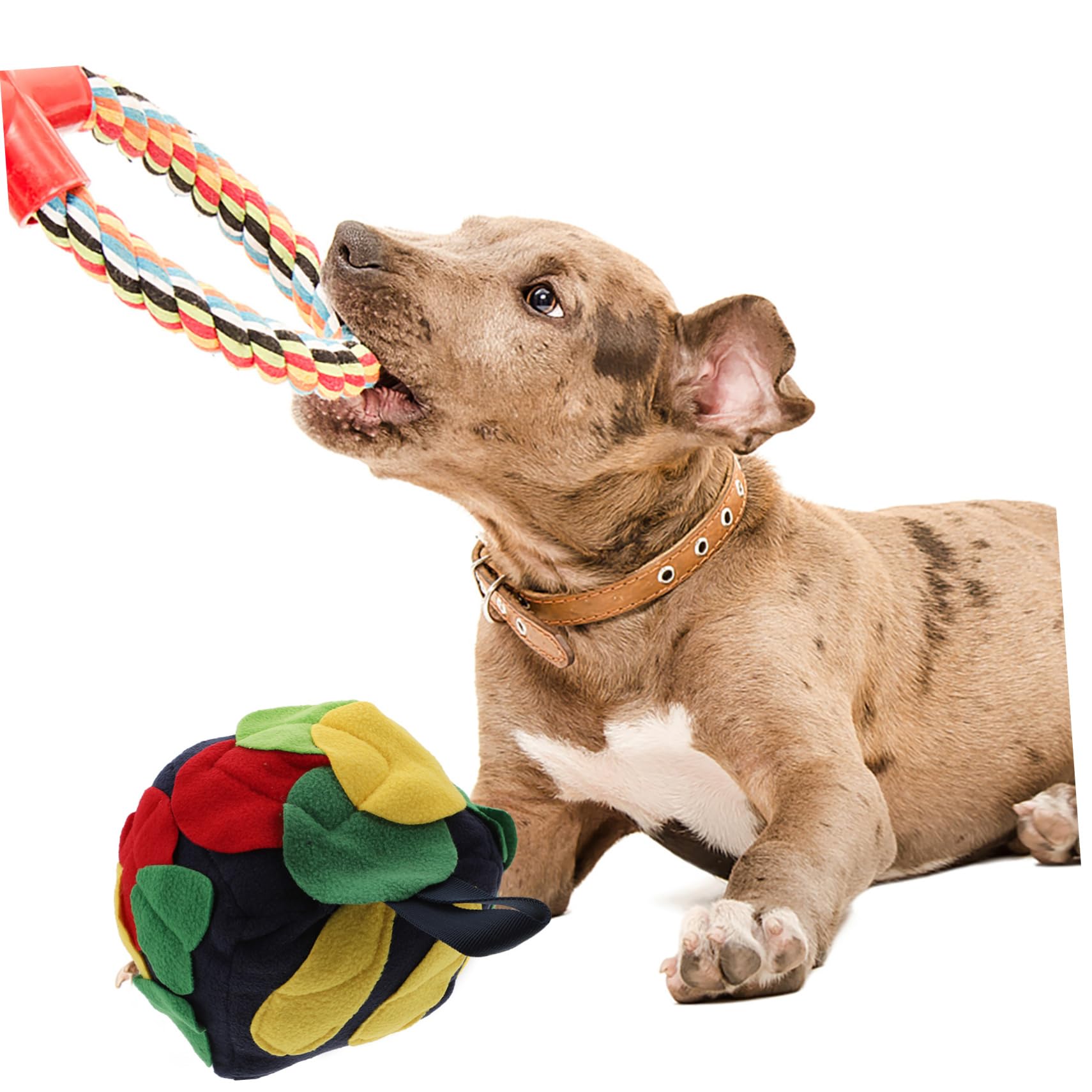 Sosoport 2stücke Hundeschnüffelball Aus Interaktives Futterspielzeug Für Hunde Fördert Spiel Und Training Für Kleine Und Große Hunde Vintage