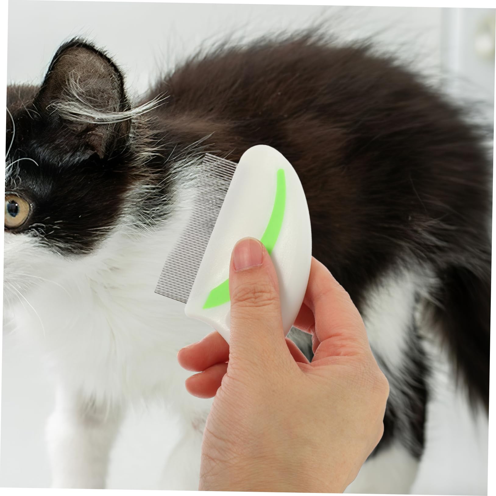POPETPOP 12 Stk Flohkamm Für Hunde Reinigungsbürste Kamm Zur Entfernung Von Flöhen Bei Haustieren Flohentfernungskamm Zahnkamm Aus Edelstahl Haustierstaubentferner Staubfänger Die Katze