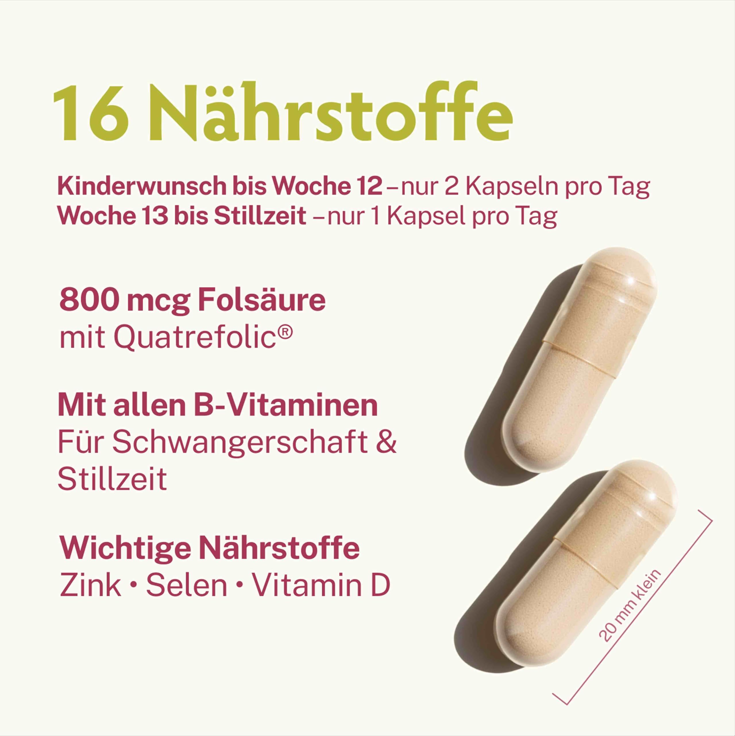 BabyFORTE® FolsäurePlus | vegan | Schwangerschaftsvitamine - Kinderwunsch Vitamine | 16 Nährstoffe | 180 Kapseln + Laborgeprüft