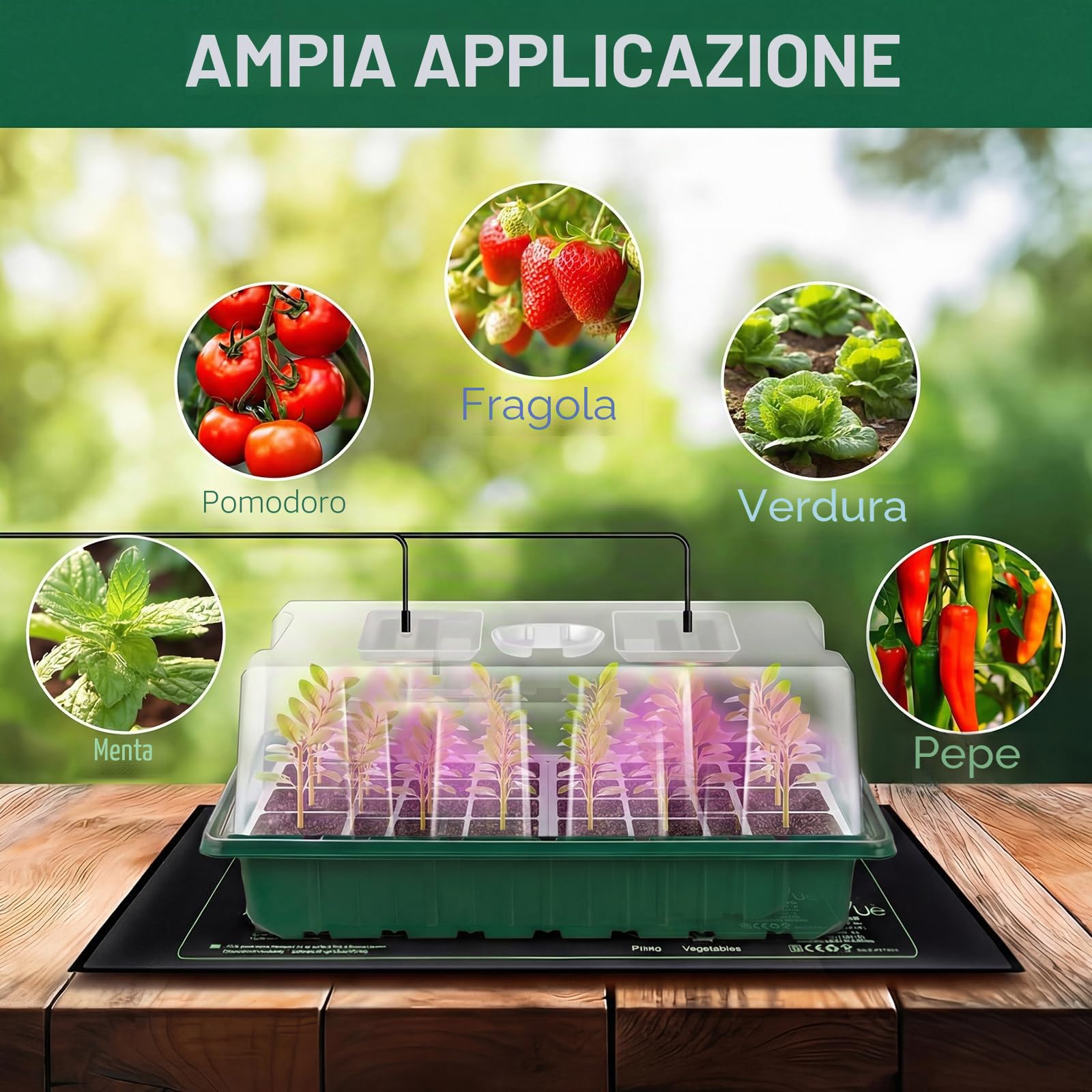 Verdenu Vassoio Germinazione con Tappeto Riscaldante, Semenzaio Germinazione Extra Large da 24 Celle con Coperchio Rialzato, Serra Per Germinazione Per la Propagazione di Piante da Interno
