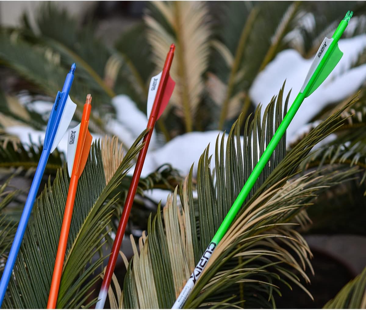 LWANO Carbon Arrow Archery 30inch Hunting Target Practice Arrows for Compound & Recurve Bow Spine 500 with Removable Tips (Pack of 12) : Sports & Outdoors