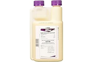 10085 Onslaught FastCap Spider and Scorpion Insecticide