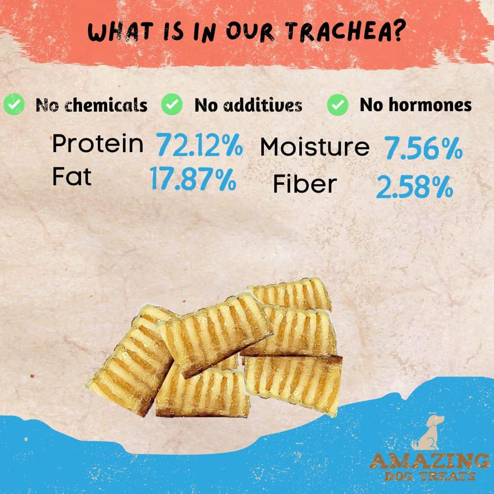 3-4 Inch Beef Trachea Rings (50 pcs/pck) -Premium Dog Chews- Great for Small Size Dogs - Excellent Source of Glucosamine and Chondroitin- Great for All Breeds
