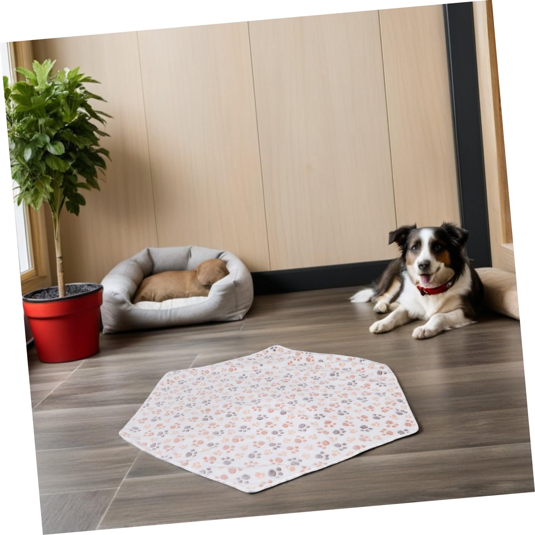 Tappetino Assorbente Lavabile Esagonale per Addestramento Cani e Cuccioli, Tappetino Riutilizzabile Antiscivolo in Pile di Corallo per Animali Domestici, Adatto per Recinti