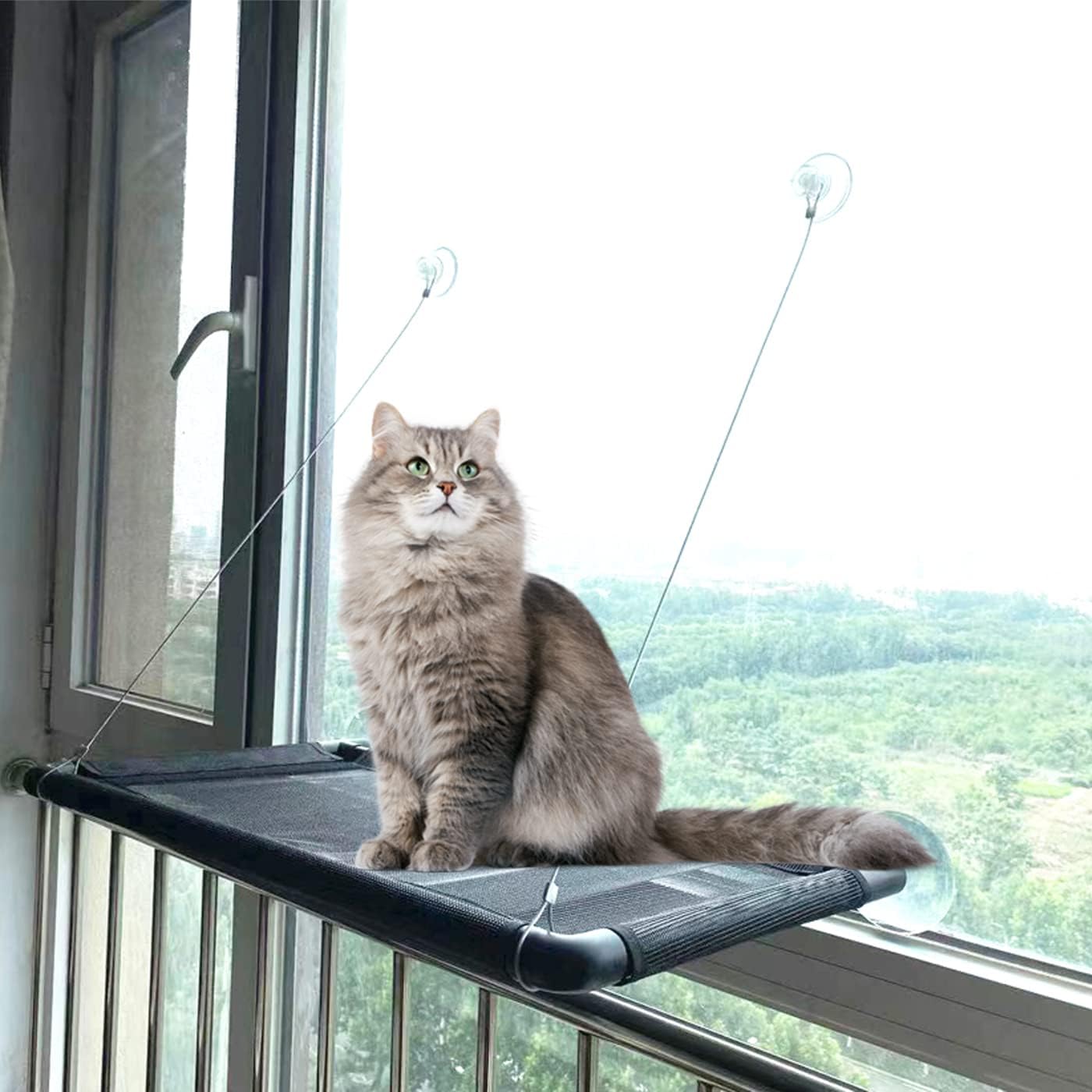Lannso Pet Cat Window Perch Cat Window Hammock Cat Window Bed Large Cat Resting Seat with Durable Heavy Duty Suction Cups Sturdy Safe…