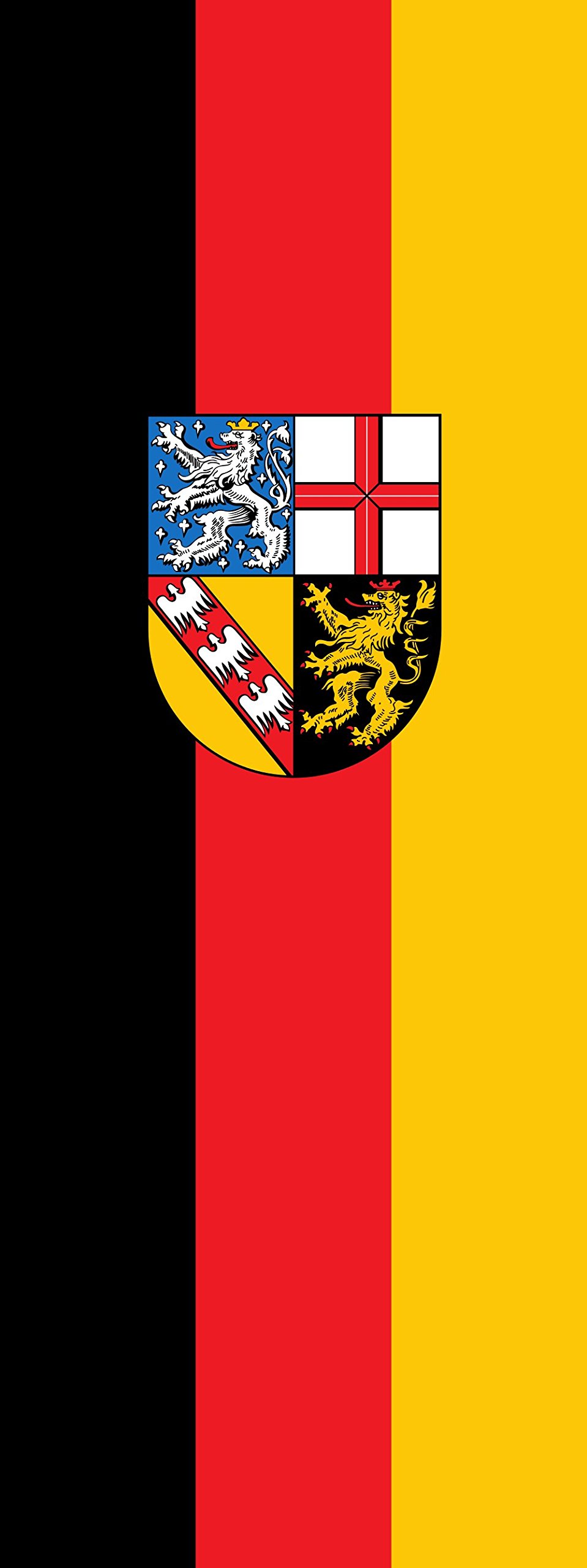 Drapeau Sarre indéchirable format portrait 400x150cm contre vents forts