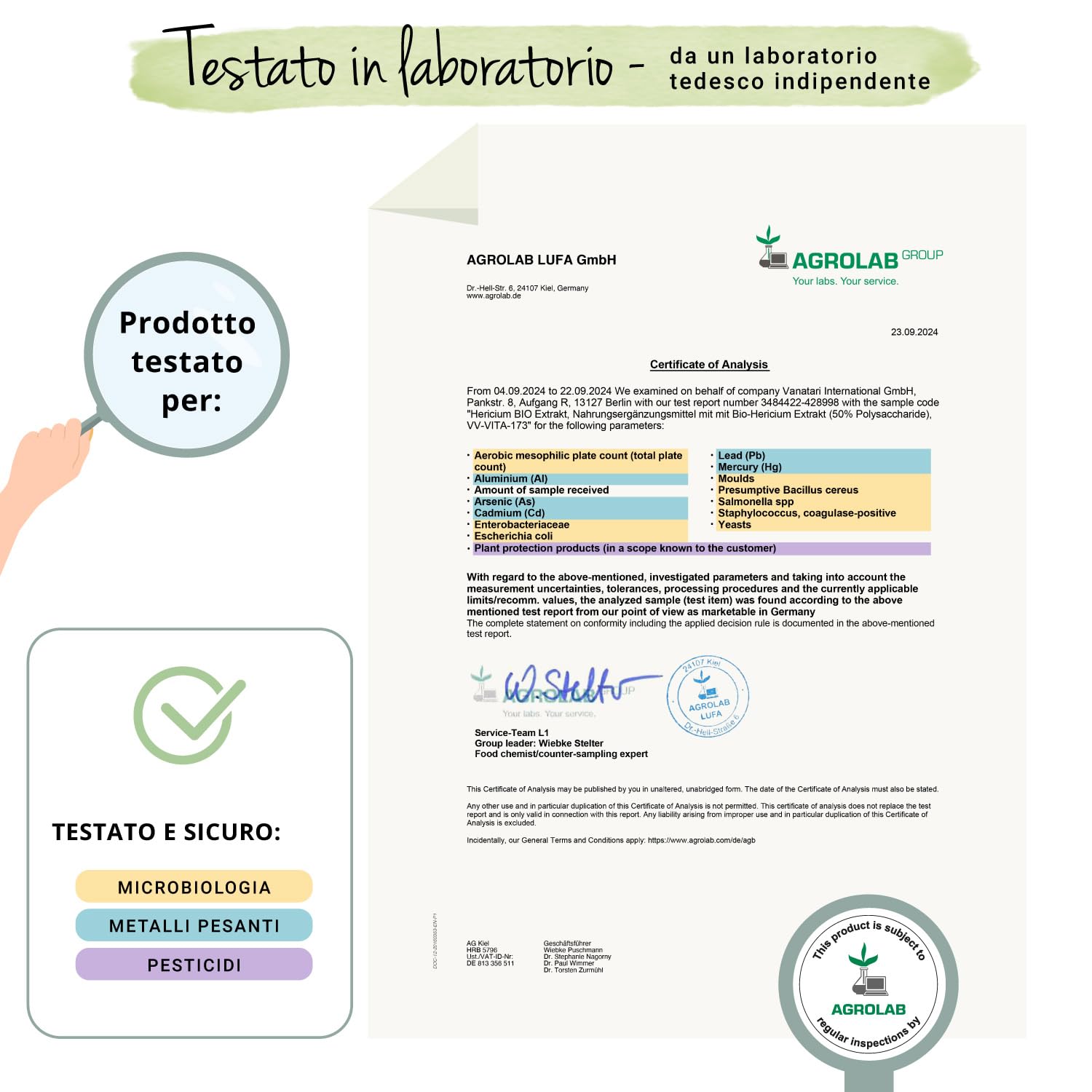 Hericium Erinaceum BIO | 50% di Polisaccaridi | Lions Mane Mushroom Biologico | Testato in Laboratorio | Sistema Immunitario | Vegano e Senza Additivi | Vegavero®
