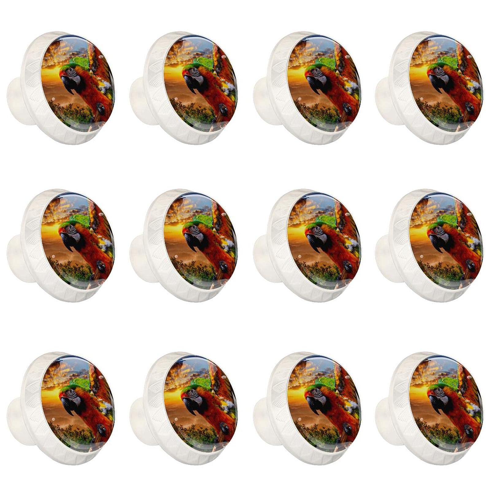 Boutons d'armoires de cuisine perroquet en lot de 12 pour tiroir de meuble