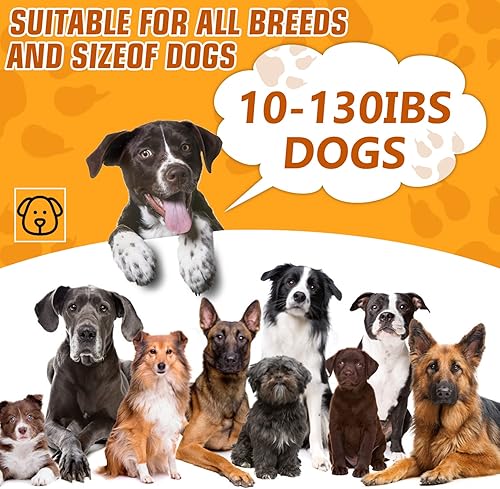 Miniatura 2 de Dispositivo antiladridos, dispositivos de control de ladridos de perros con detección automática, caja de ladridos ultrasónica de 4 frecuencias para