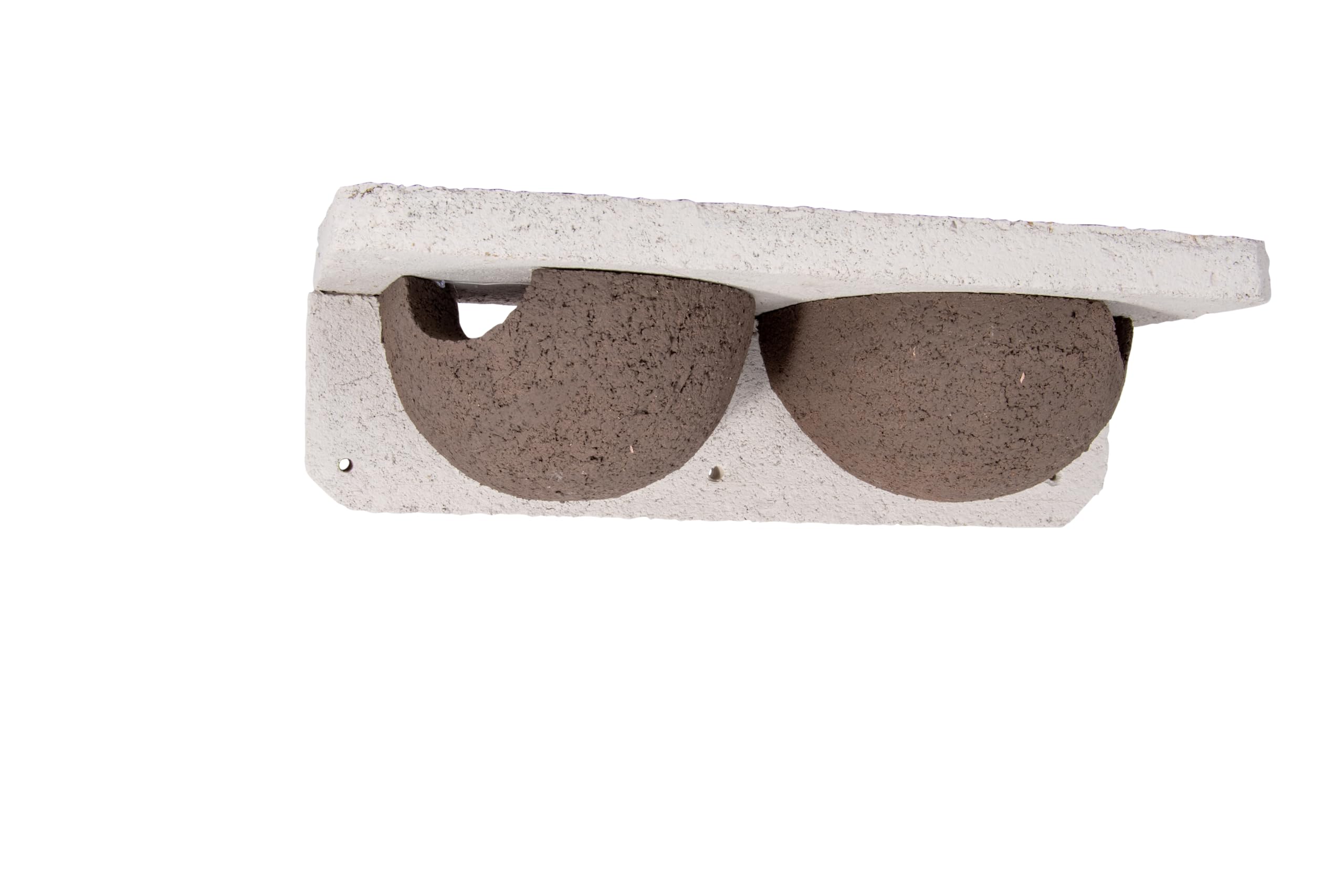 CJ Wildlife Nistkasten Mehlschwalbe – Nistkasten für Vögel für draußen wetterfest – Holz, Holzbeton, mit ausziehbarer Führungsschiene – 38 x 11 x 16 cm