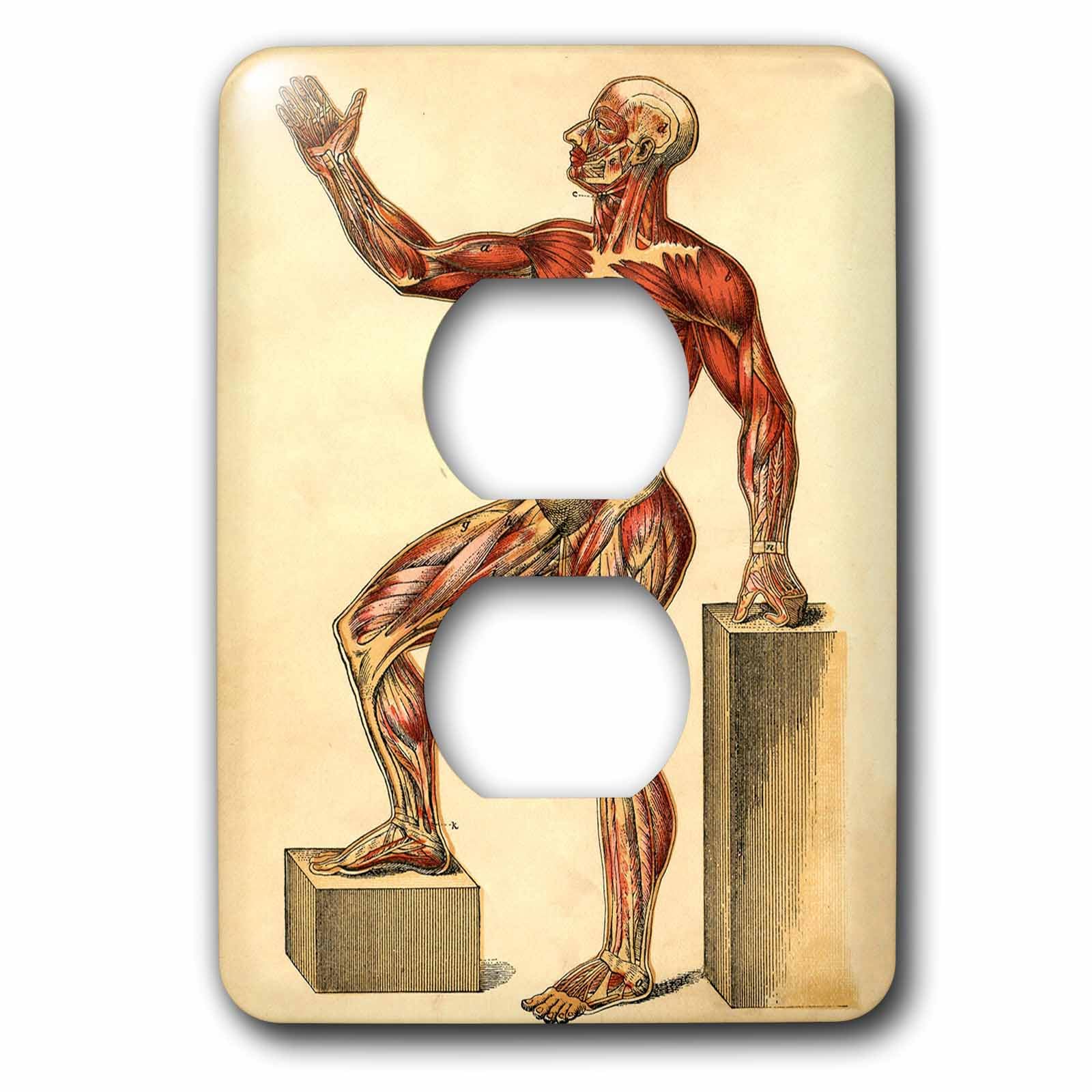 Placa de interruptor de enchufe doble con dibujo de músculos de hombre vintage modelo LSP_203700_6 1