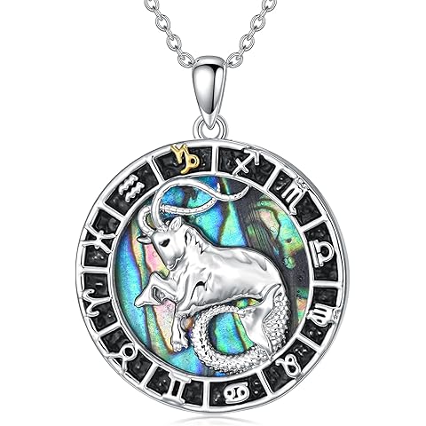 12 Constellation Necklace Zodiac Coin Pendant Necklace Round Abalone Shell 12 Const...