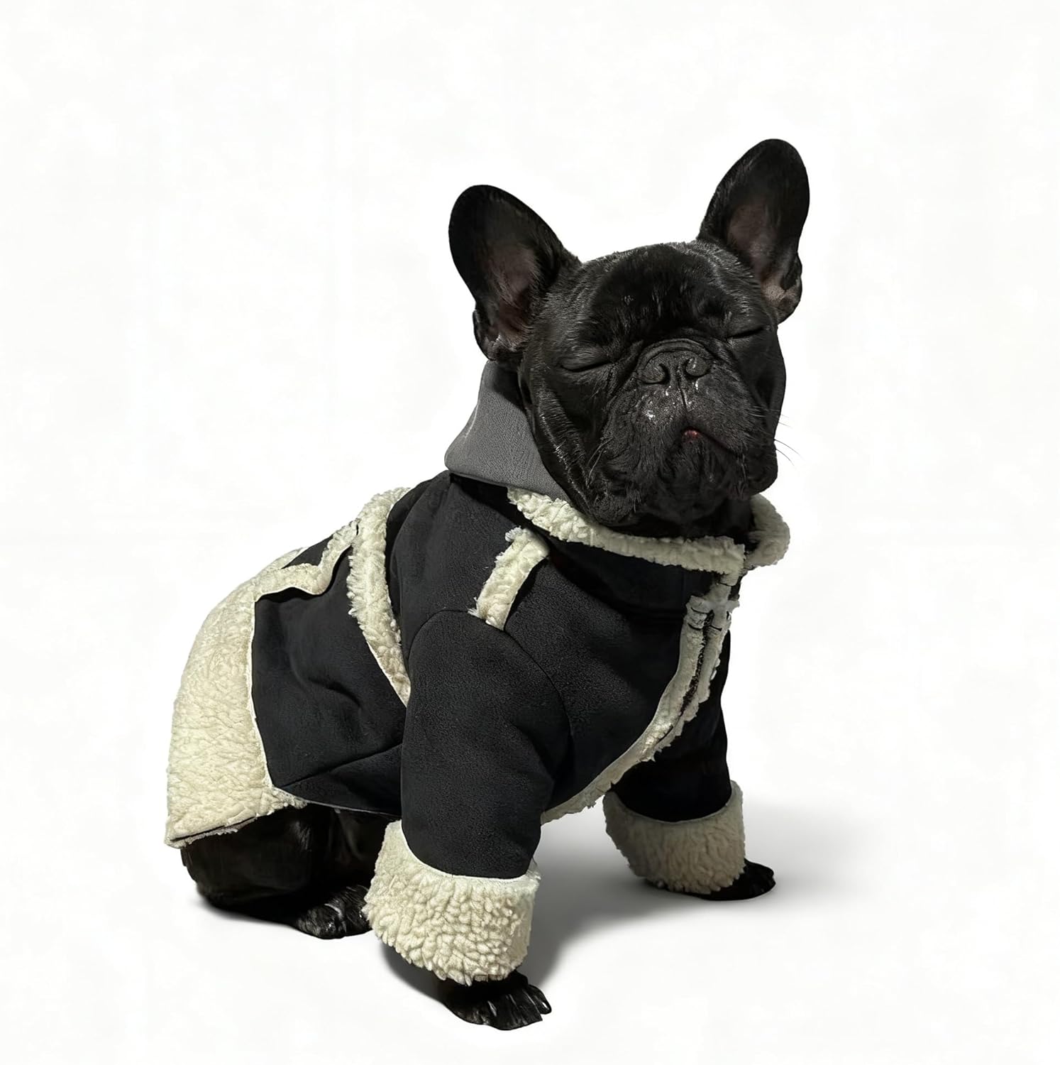 French Bulldog Winter Coat – Sherpa Lined Dog Jacket for Cold Weather, Harness Friendly Warm Outfit for Small Medium Breeds (Dog Cotton Clothes,L)
